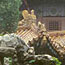 Part of Emperor Qianlong's garden.